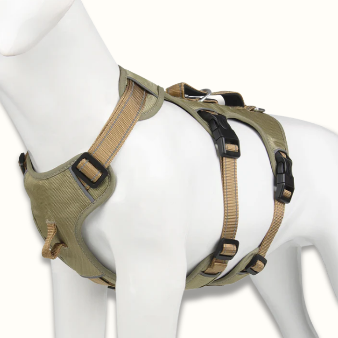 PawSecure – Veilig & Comfortabel Hondentuig