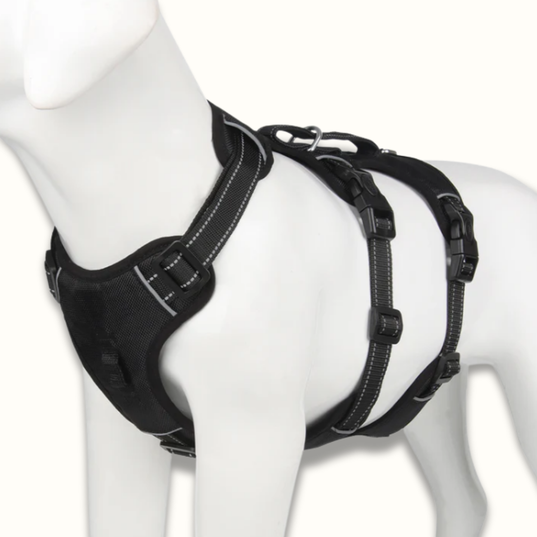 PawSecure – Veilig & Comfortabel Hondentuig