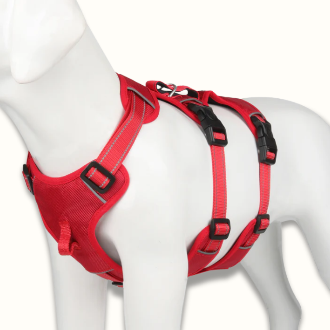 PawSecure – Veilig & Comfortabel Hondentuig