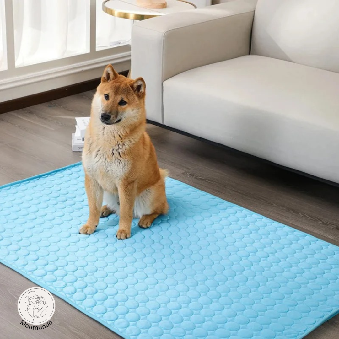 ChillBuddy - De Ultieme Koelmat voor Huisdieren