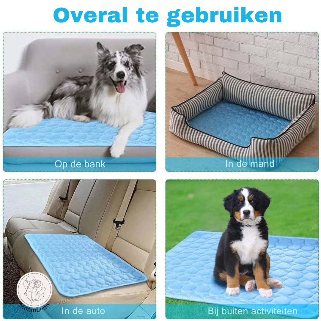 ChillBuddy - De Ultieme Koelmat voor Huisdieren