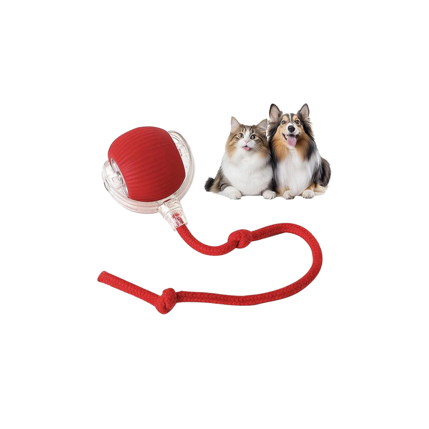 PlayPaws – Slimme speelbal voor actief speelplezier