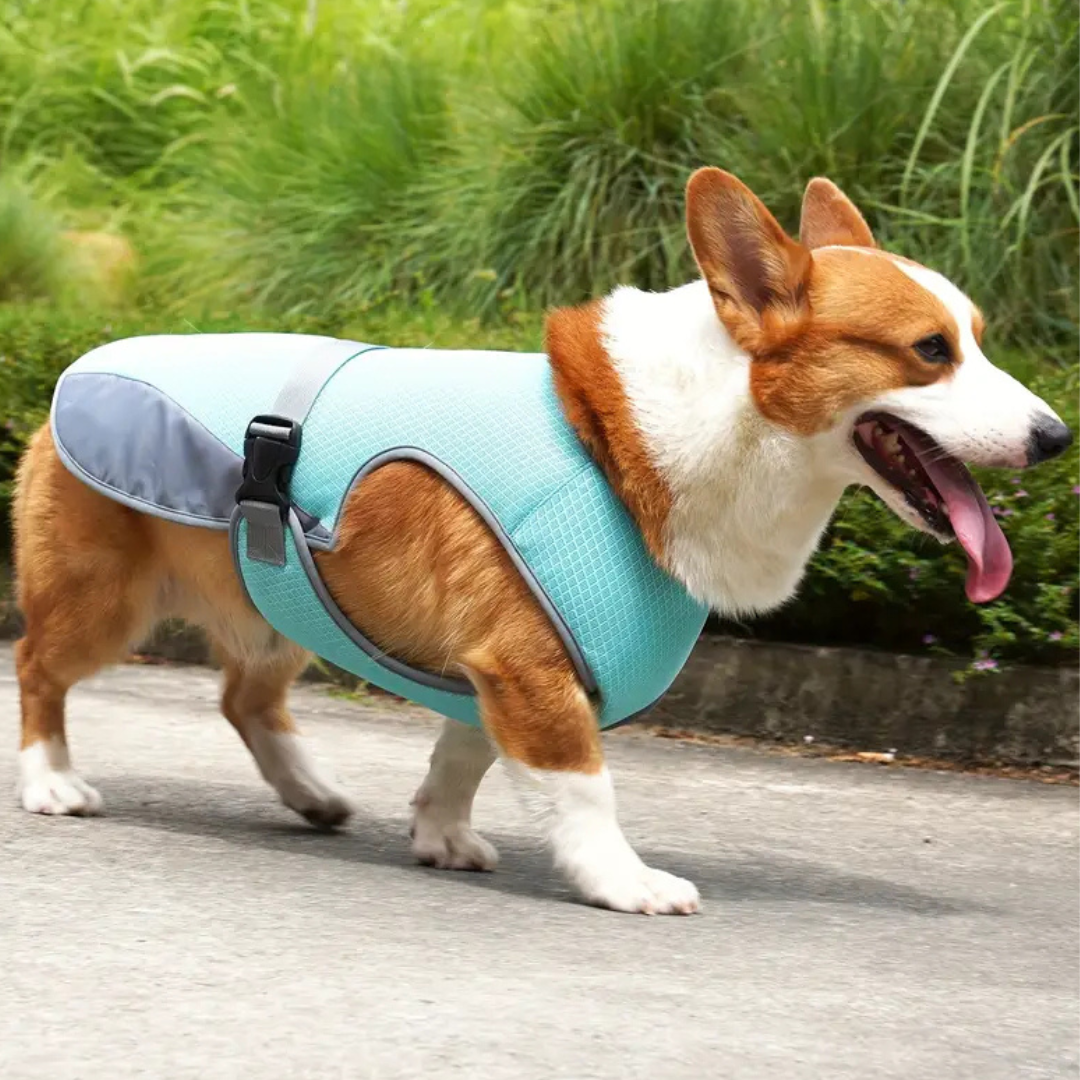 CoolShield Pro – Koelvest voor honden met UV-bescherming en ademend mesh