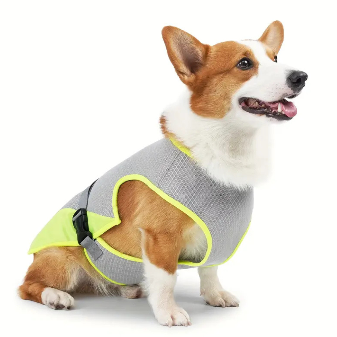 CoolShield Pro – Koelvest voor honden met UV-bescherming en ademend mesh