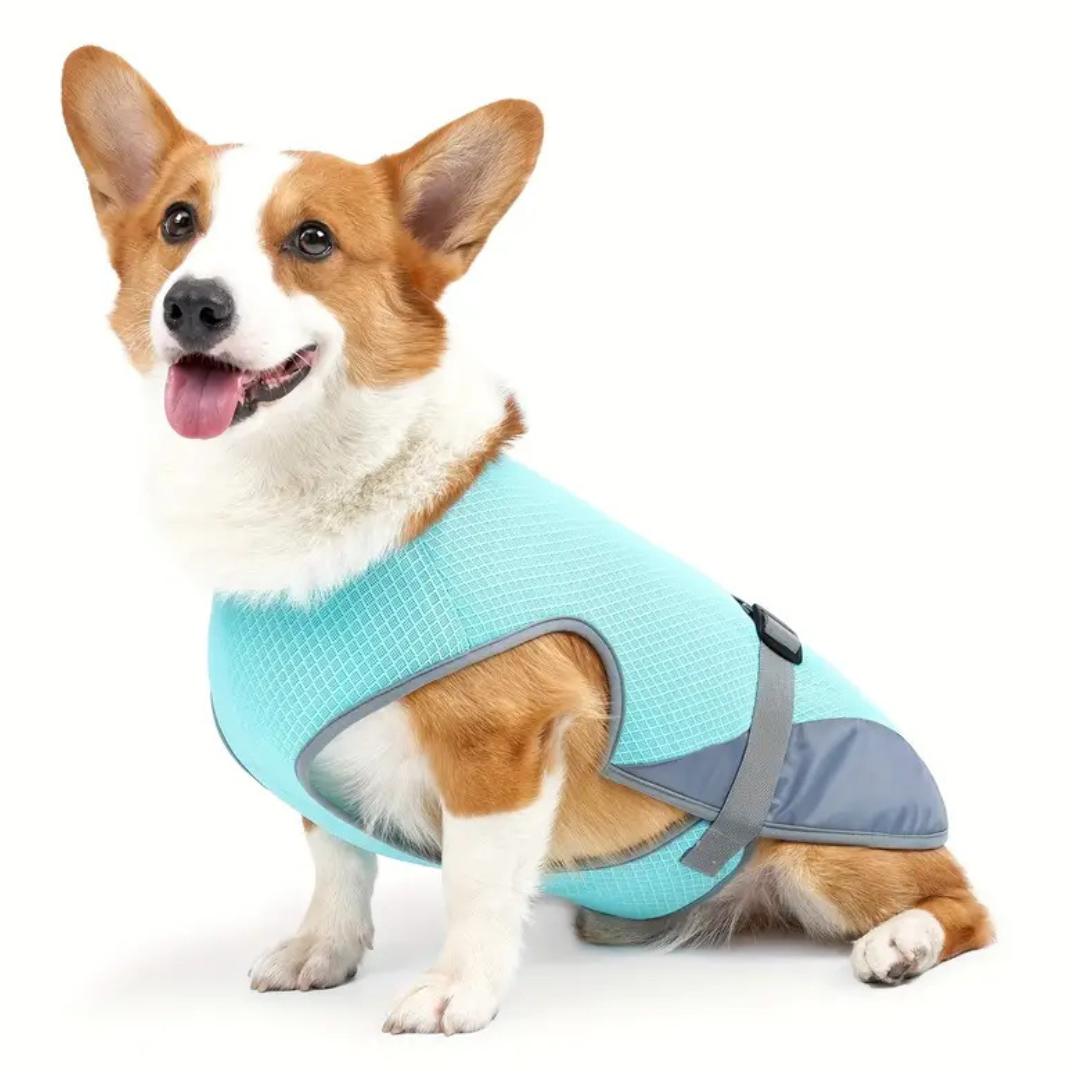 CoolShield Pro – Koelvest voor honden met UV-bescherming en ademend mesh
