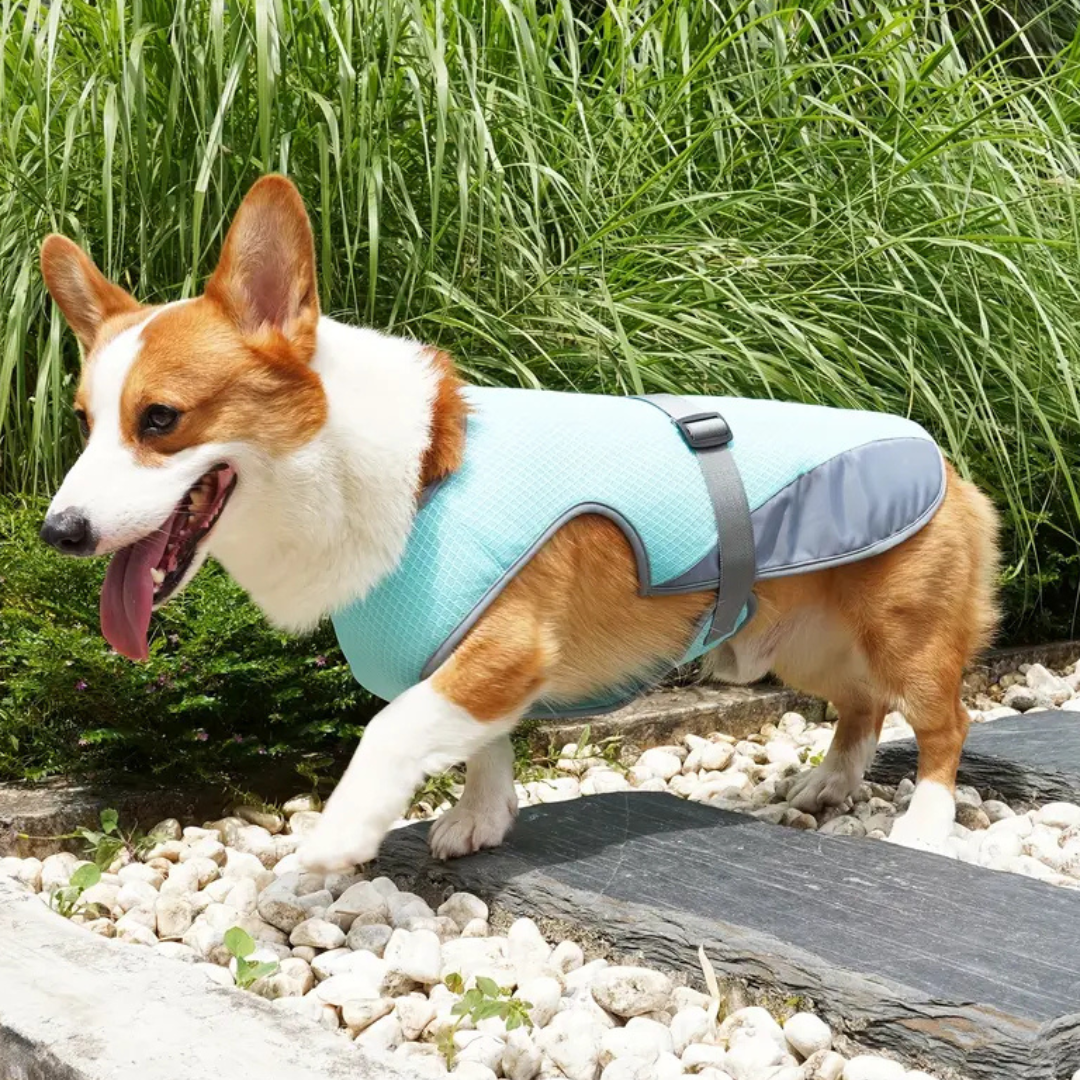 CoolShield Pro – Koelvest voor honden met UV-bescherming en ademend mesh