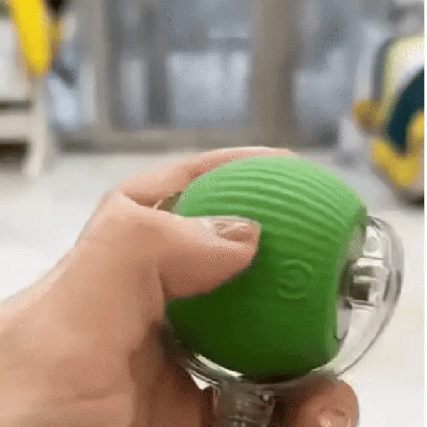 PlayPaws – Slimme speelbal voor actief speelplezier
