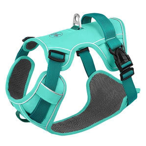 PawSecure – Veilig & Comfortabel Hondentuig