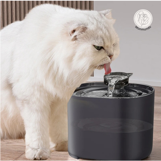HydroHaven – De ultieme drinkfontein voor uw huisdier