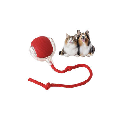 PlayPaws – Slimme speelbal voor actief speelplezier